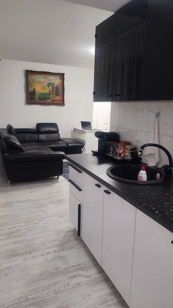 Berceni, Dimitrie Leonida,