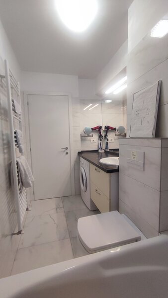 Berceni, Dimitrie Leonida,