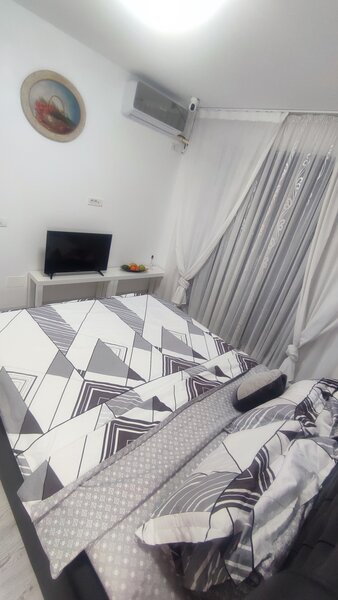 Berceni, Dimitrie Leonida,